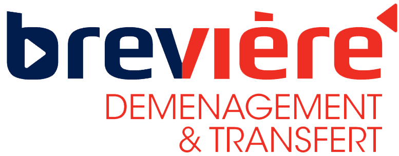 AnyVan déménageur partenaire